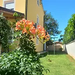 Lavanda Appartement Tar-Vabriga