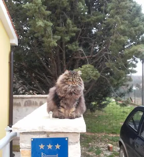 Appartement Lavanda *